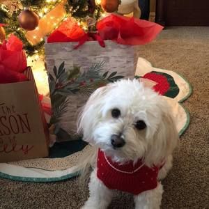 Meet your Posher, Sharon